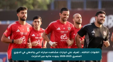 القنوات الناقلة.. تعرف على خيارات مشاهدة مباراة إنبي والأهلي في الدوري المصري 2025-2026 بجودة عالية عبر الإنترنت